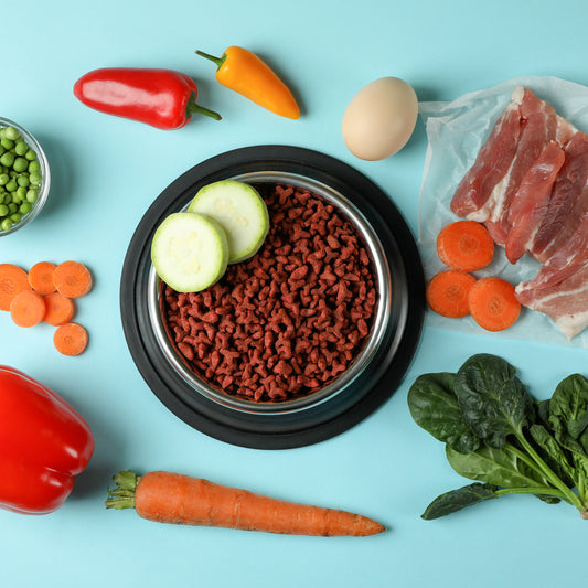 Pet Food and Dietary Needs