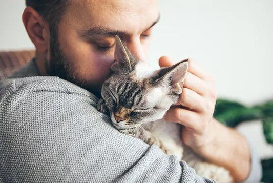 petcare-canberra-for-all-pets-for-more-than-7-days-1-visit-per-day-woofy-and-whiskers